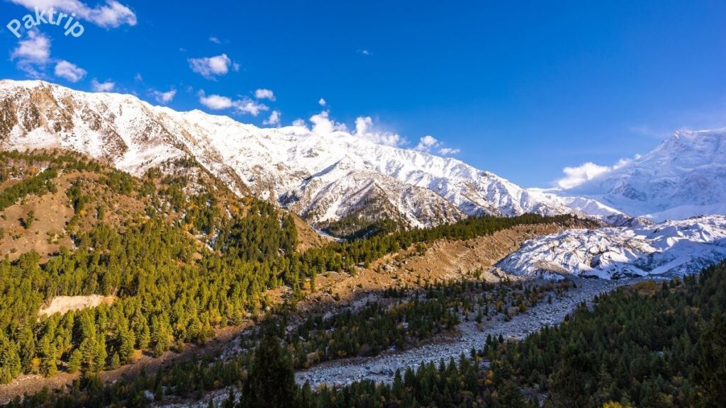 Fairy Meadows