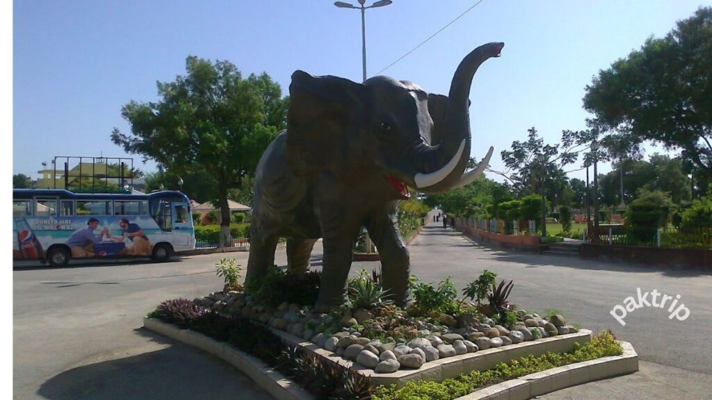 Karachi Safari Park