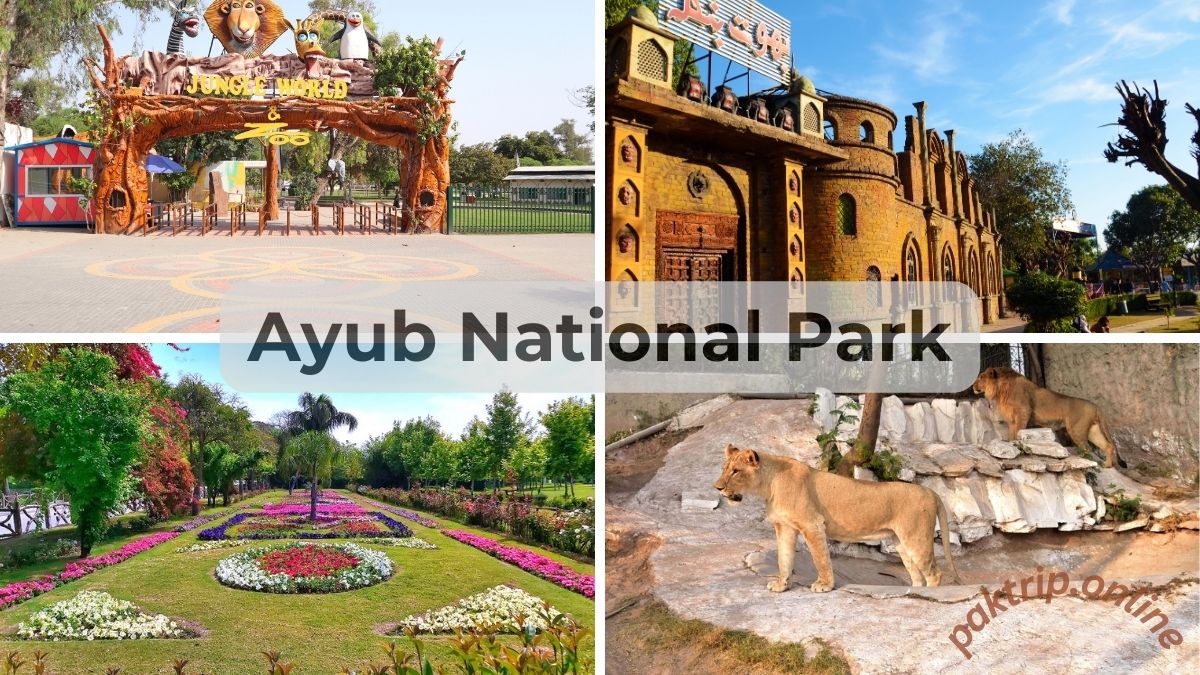 Ayub National Park