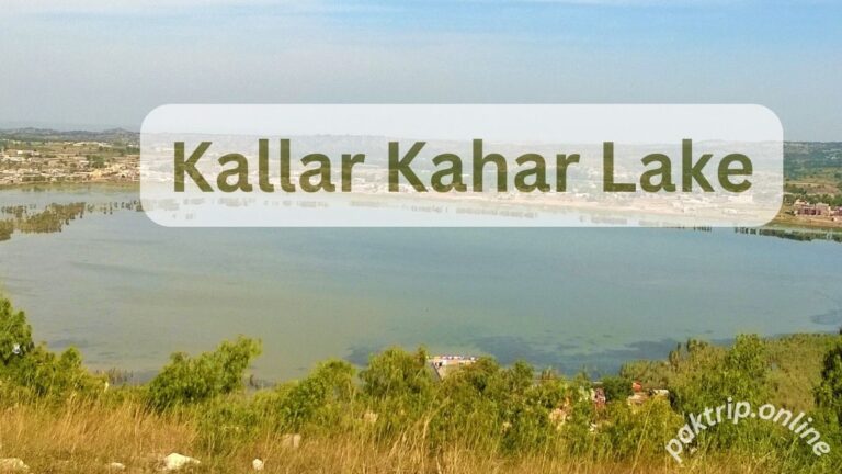 Kallar Kahar Lake