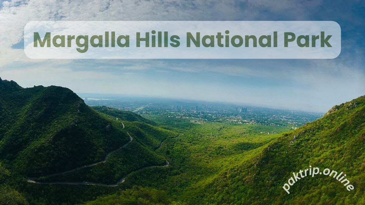 Margalla Hills National Park