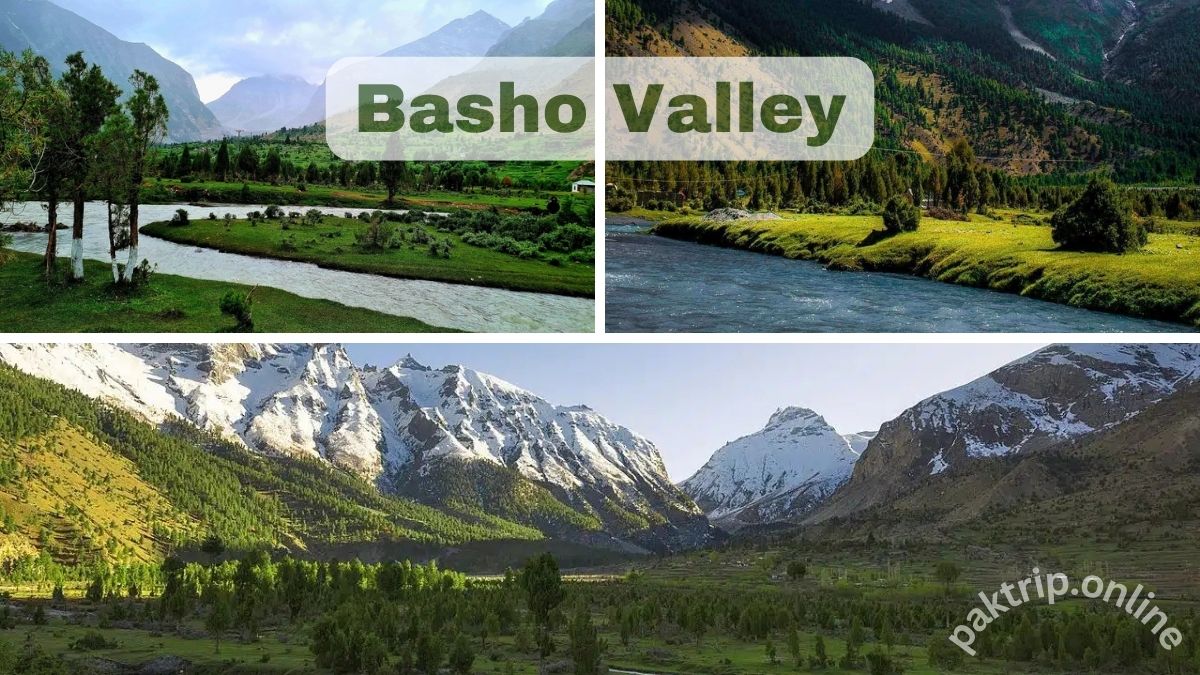 Basho Valley